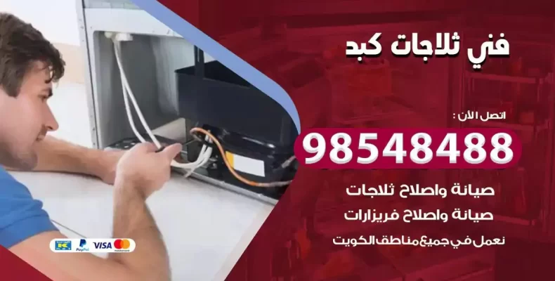 فني صيانة ثلاجة كبد