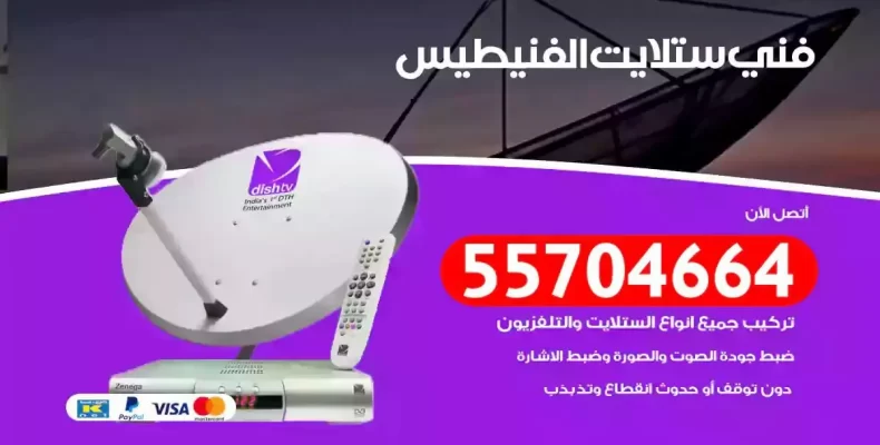 فني رسيفر الفنيطيس