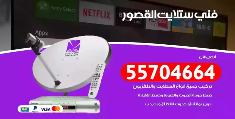 فني رسيفر القصور