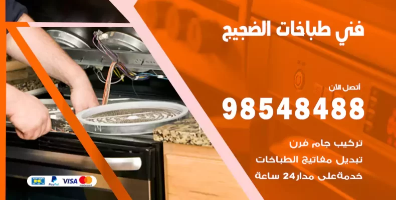 فني طباخات الضجيج